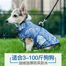 .狗狗衣服秋冬柯基衣服保暖泰迪比熊小型犬金毛中大型犬防掉毛棉