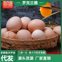 土鸡蛋大量批发40枚农家散养农村笨鸡蛋新鲜营养10枚柴鸡蛋整箱