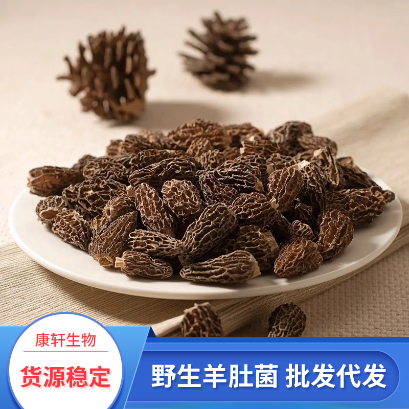 野生羊肚菌 云南土特产干货 食用菌 煲菌汤食材 香菇羊肚蘑菇500g