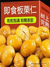 新品即食板栗仁熟制甘栗仁500g板栗去皮栗子零食坚果炒货特产小吃