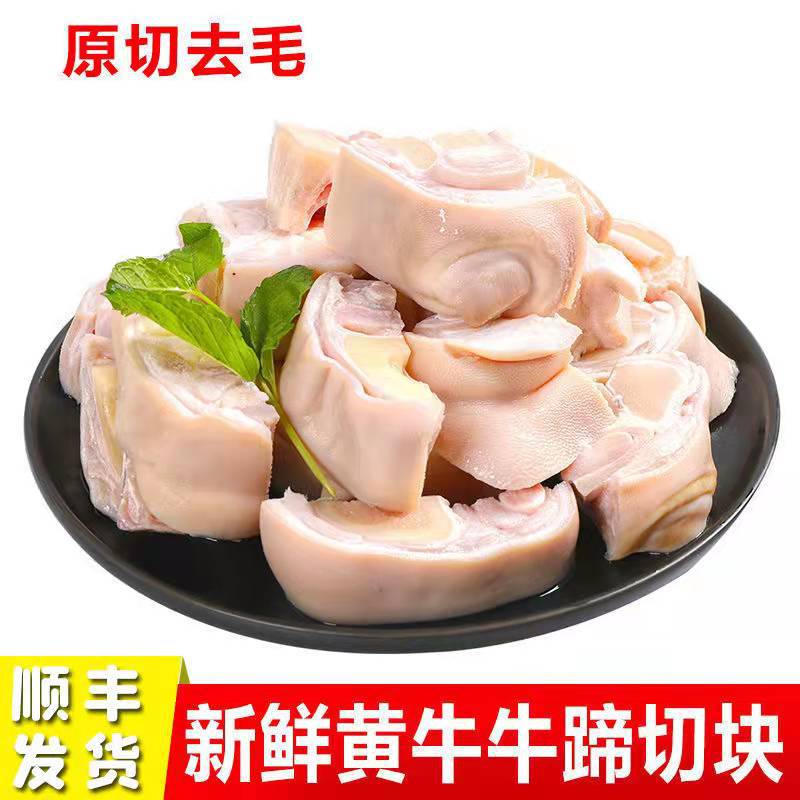 正宗黄牛蹄5斤包邮 新鲜去毛牛蹄切块自家散养牛蹄块少肉新鲜批发