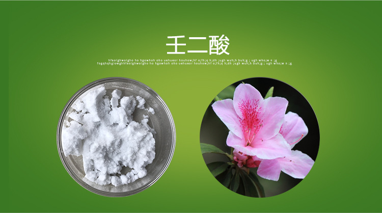 壬二酸 99% 杜鹃花酸 杜鹃花提取物 壬二酸粉 五色花现货
