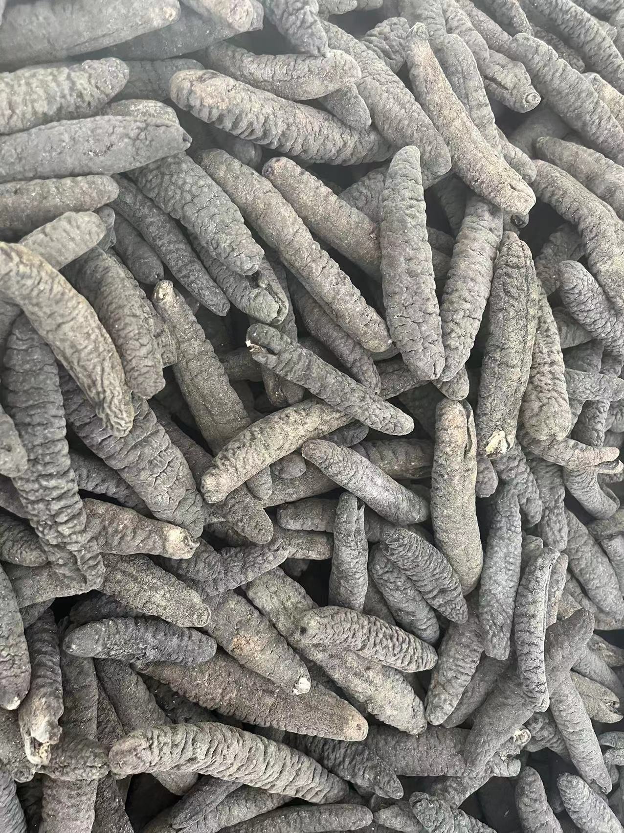 批发15头乌参黑参大乌条参乌虫野海参干货源头一手批发水发酒楼