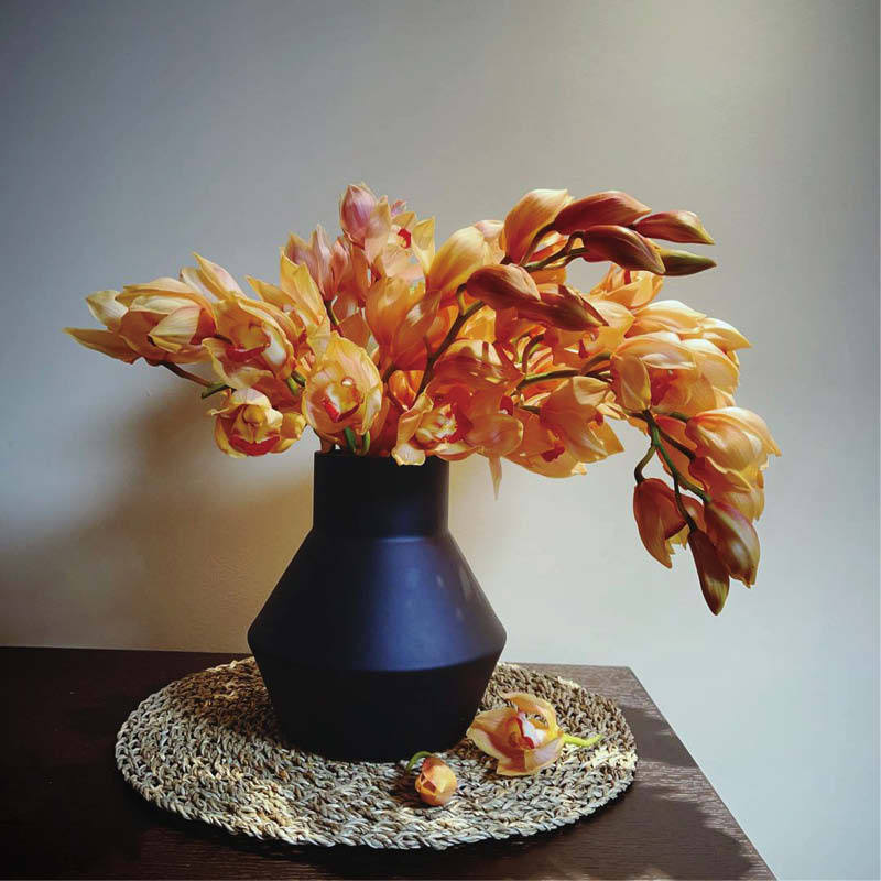 大花蕙兰鲜切花精品花材办公室家庭瓶插花艺婚庆节日比赛装饰