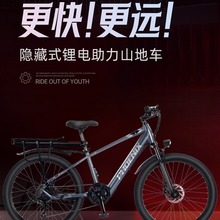 凤凰新国标电动山地自行车新款锂电助力电动成人男女代步电瓶车
