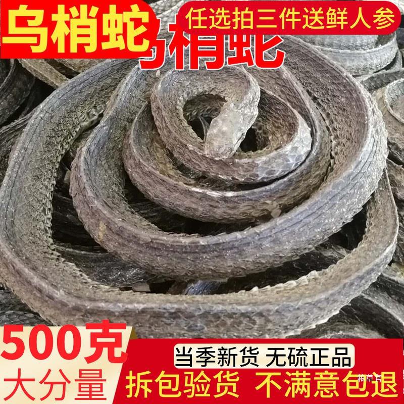 乌梢蛇四川乌梢蛇整盘纯干500g新货包邮可打粉真货好-阿里巴巴