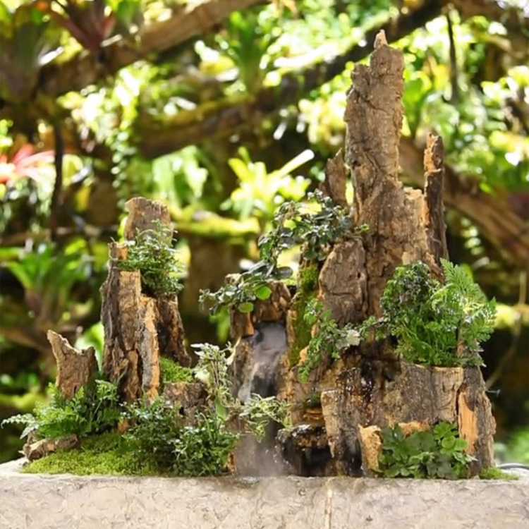 鱼缸水族造景装饰香槟木树皮雨林缸树皮背景板乌龟晒台多用批发