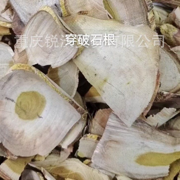 1千克批发柘藤根山黄箕铁篱根,黄龙脱皮刺楮,山黄芪 九层皮千层皮