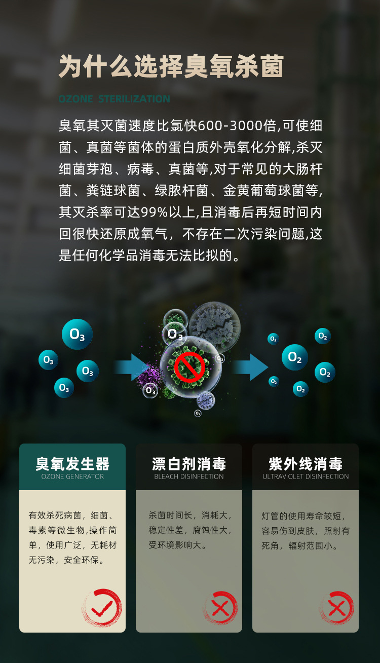 百丰臭氧机 饮料厂自来水杀菌机 工业脱色高浓度臭氧氧气源一体机