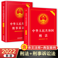 刑事诉讼法+刑法典全套2册2021年-2022年正版新版 中华人民共+杨