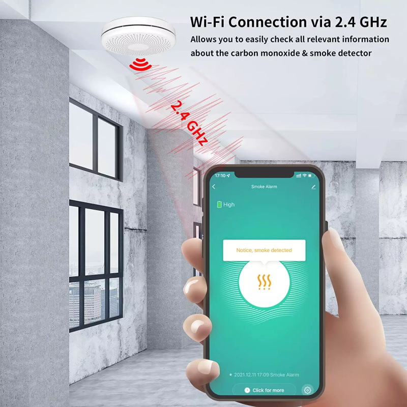 Graffiti WiFi Smart Smoke Detector Carbon Monoxide Detector Tuya Smoke Fire Sound Alarm