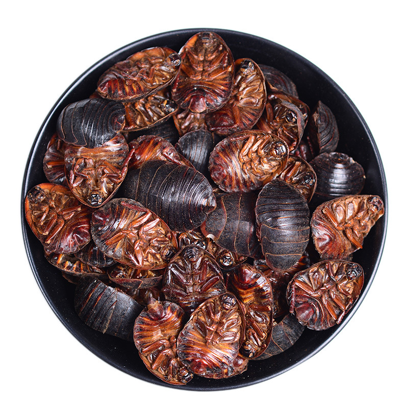 仙太医土鳖虫中药材500g土元药用土鳖虫干中华土鳖子地鳖虫可磨粉