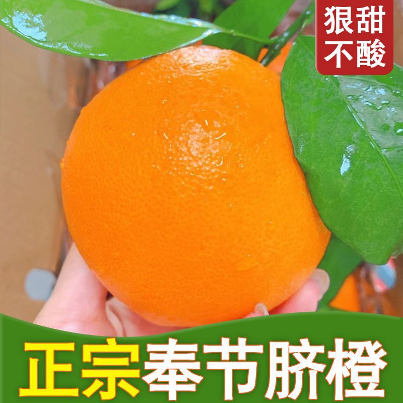 重庆奉节纽荷尔脐橙超甜斤橙子新鲜现摘水果礼盒装斤跨境电商