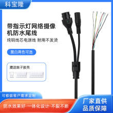 定制带指示灯防水9芯IPC网络安防监控摄像RJ45+DC复位视频机尾线