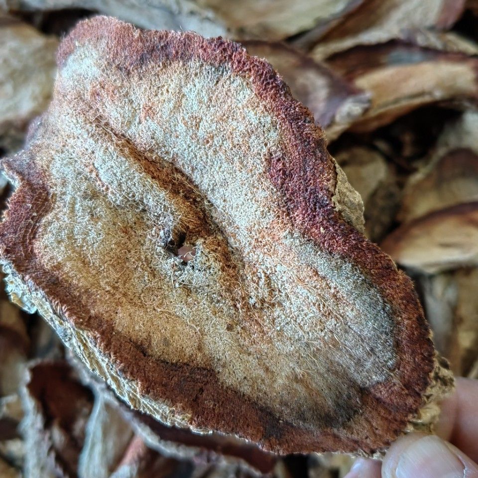 红葛根 红高颗 泰国艳紫铆 泡酒泡茶红高颗 红葛根-阿里巴巴