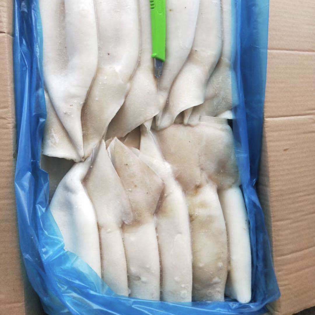 3斤包邮新鲜鱿鱼筒面免处理白鱿鱼筒 鱿鱼片 海鲜水产