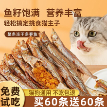 小鱼干猫猫零食宠物无盐猫咪营养补钙磨牙增肥发腮冻干多春鱼猫孟