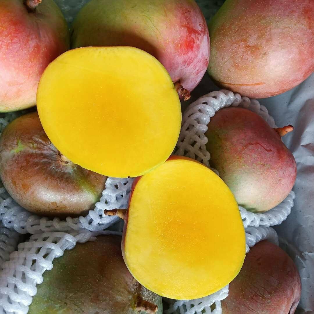 澳芒芒果大果新鲜水果5斤小核大芒果好物非攀枝花凯特青芒甜心芒