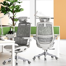 人体工学椅M59双背电脑椅家用办公座椅电竞椅久坐学习转椅子