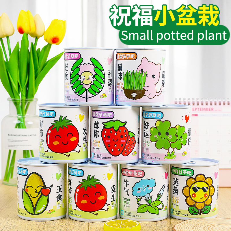 网红易拉罐盆栽绿植番茄草莓种子小花农罐头小盆栽儿童手工小礼物