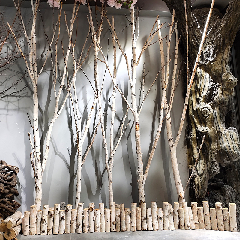 白桦树干装饰
