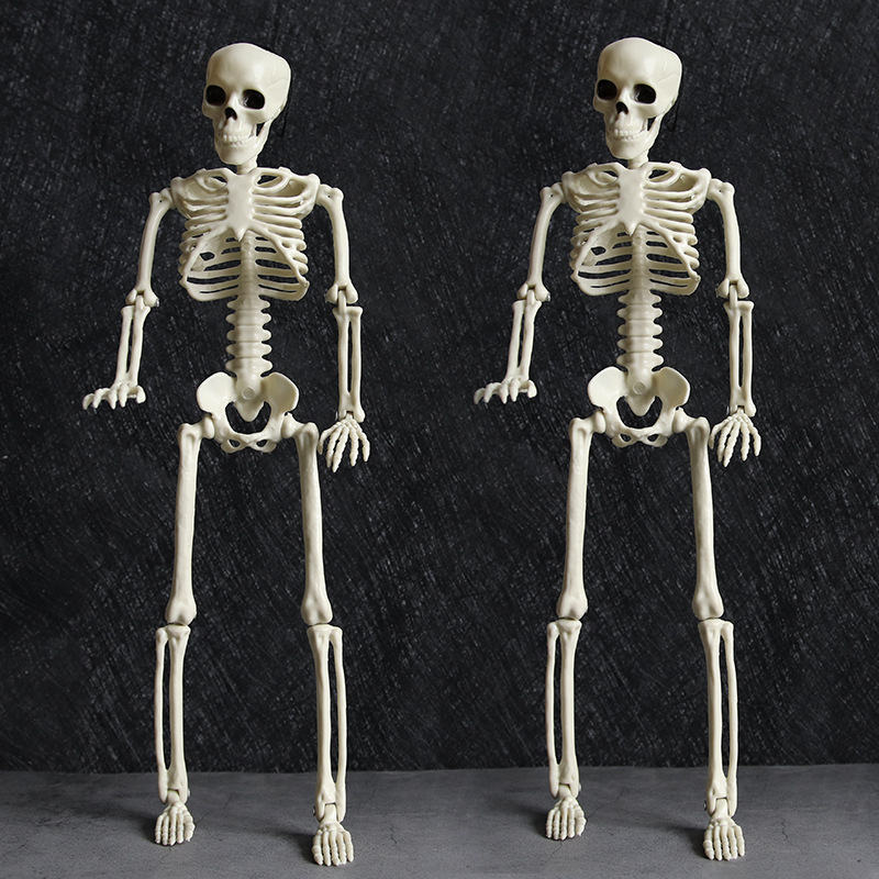 万圣节骨架人亚马逊40cm仿真骷髅骨架挂件密室逃脱装饰道具摆件