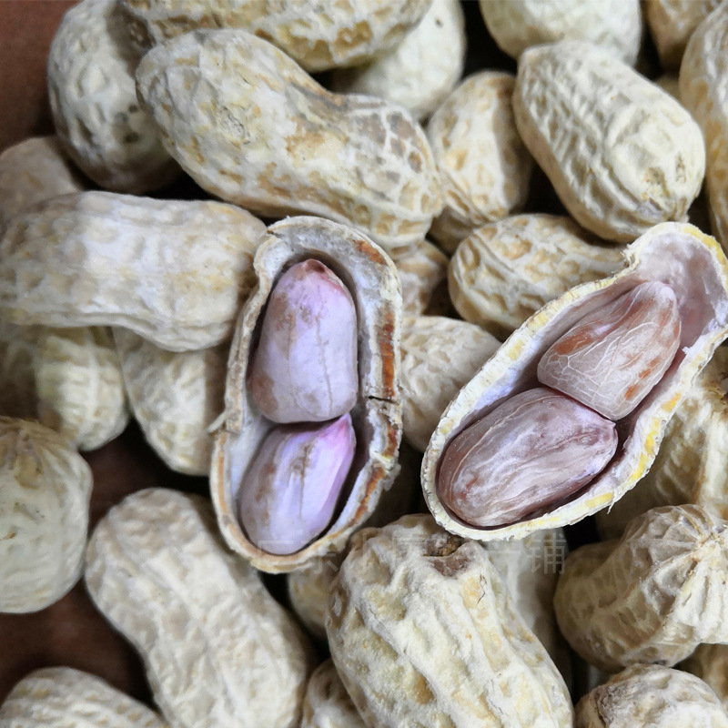 广东河源客家特产忠信花生斤装水煮咸干白酥咸脆花生皇全国包邮批