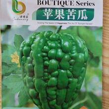 台湾苹果苦瓜种子生吃不苦甘甜水果苦瓜种子白苦瓜子四季蔬菜种子