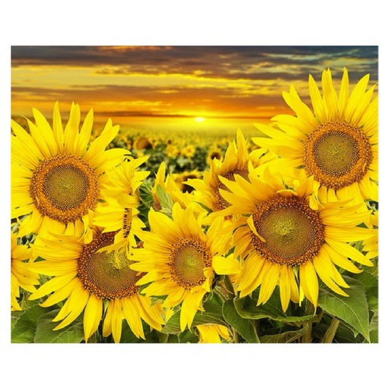 钻石画满钻向日葵十字绣5d钻石绣向日葵风景日出客厅粘钻画