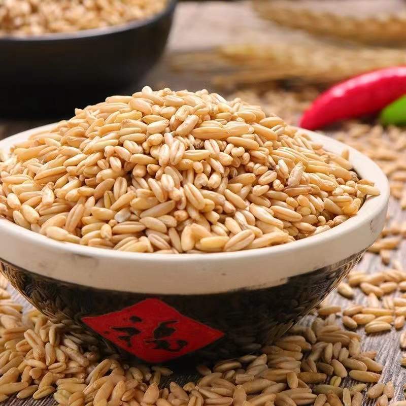 裕泰燕麦米500克/袋云南五谷杂粮粗粮燕麦粥煮粥煮大米混合粥