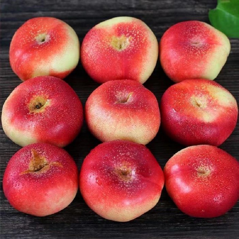 陕西纽扣红油蟠桃新鲜水果桃子孕妇水果整箱一件代发