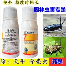 噻虫啉果树园林松树杨树蛀虫钻心虫蚜虫害虫天牛克星专用杀虫剂