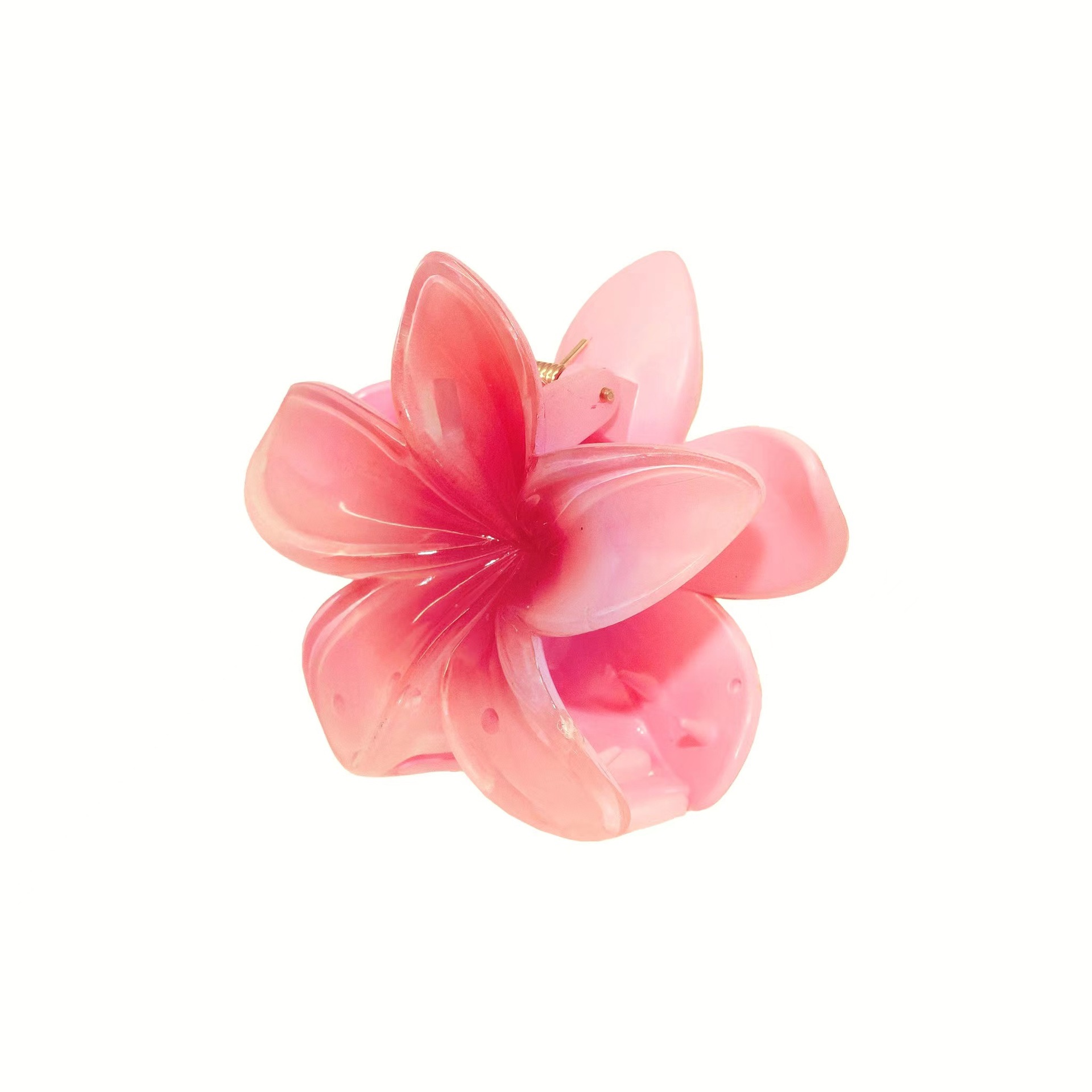 Cross-Border Bauhinia European and American Lily Egg Flower Clip Shark Clip Plate Hairpin Internet Celebrity Amazon Hair Clip