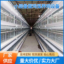 小层叠蛋鸡笼养鸡设备立体式阶梯式蛋鸡笼养殖场三层四层备育雏笼