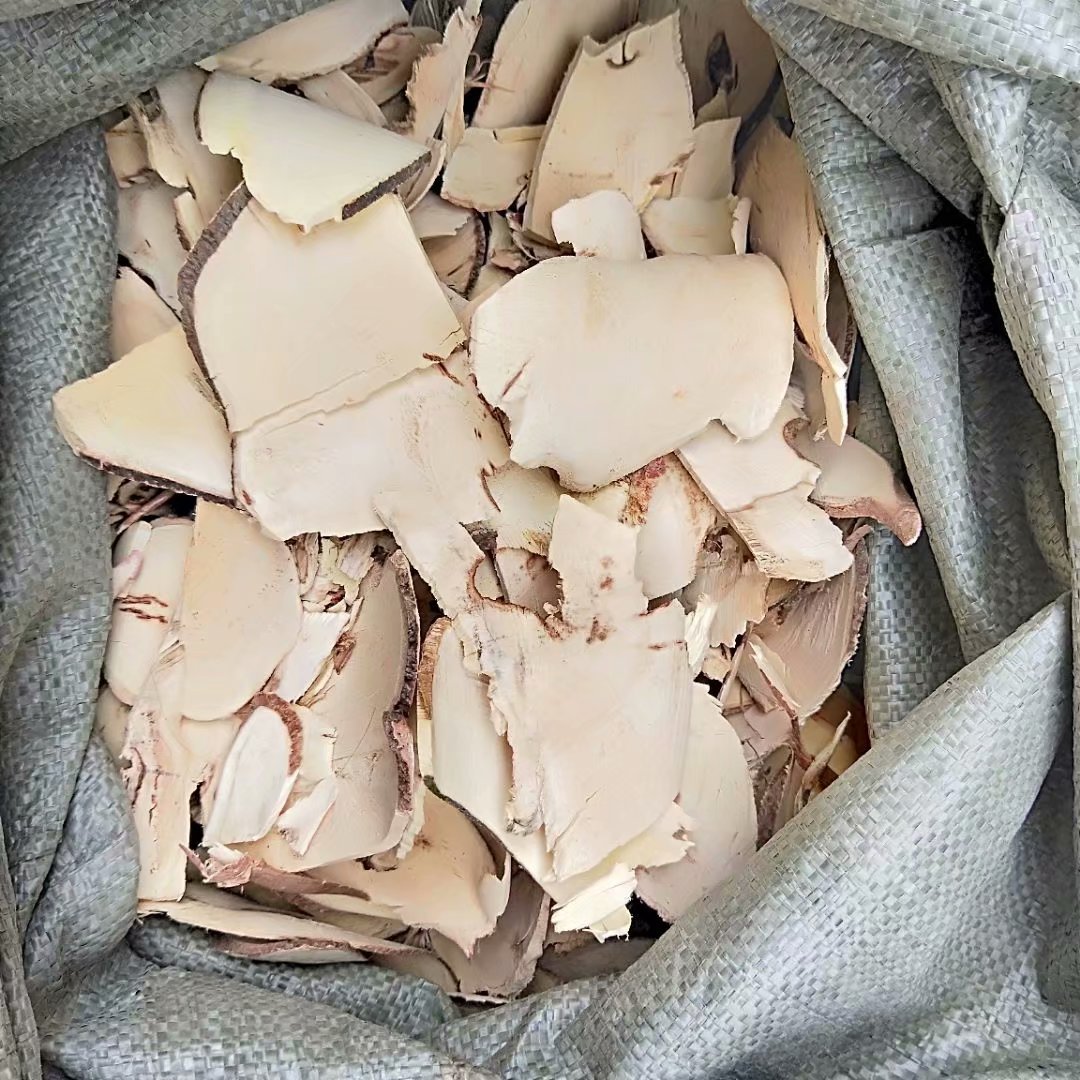 中药材白背叶根白背叶根部每件500克