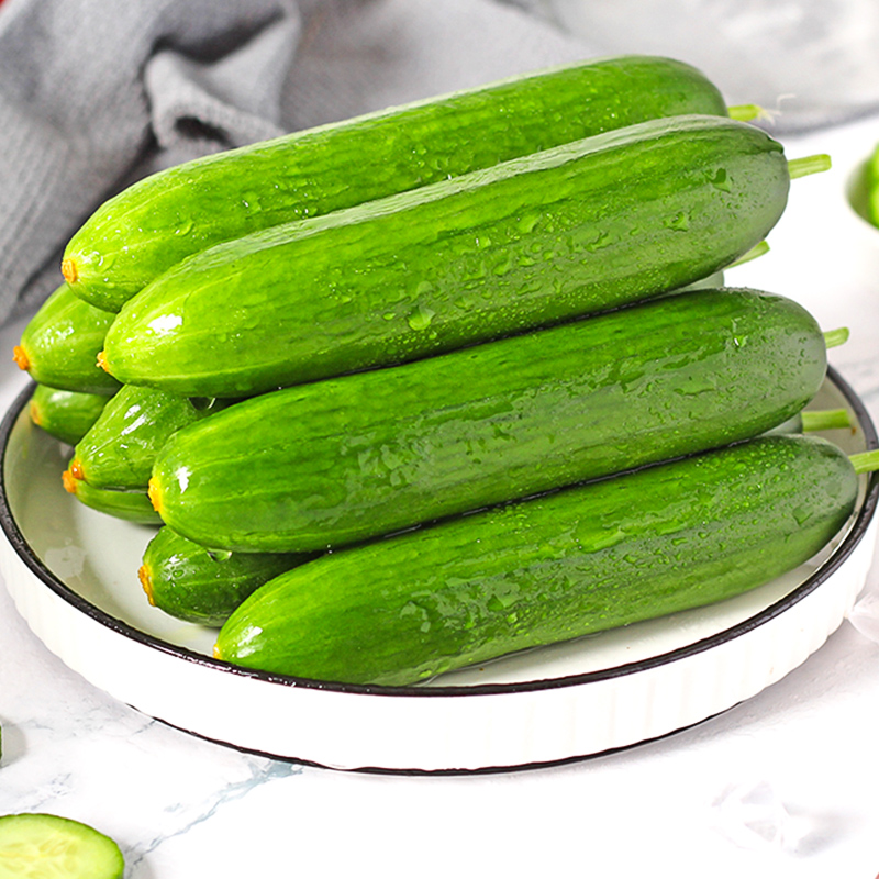 寿光蔬菜水果黄瓜3斤新鲜小青瓜生吃脆甜