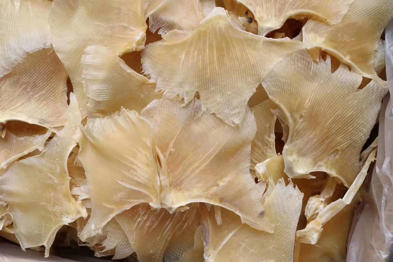 批发渔家自晒鳐鱼翅浦鱼翅鲽鱼翅天海狗鱼翅煲汤材料海产干货500g