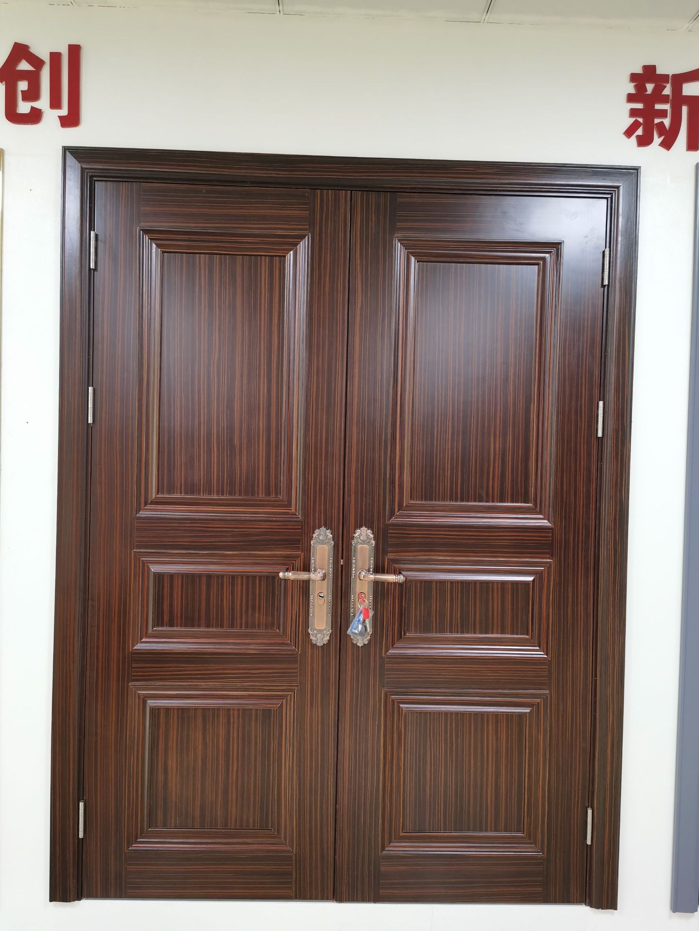 扣线双开入户门