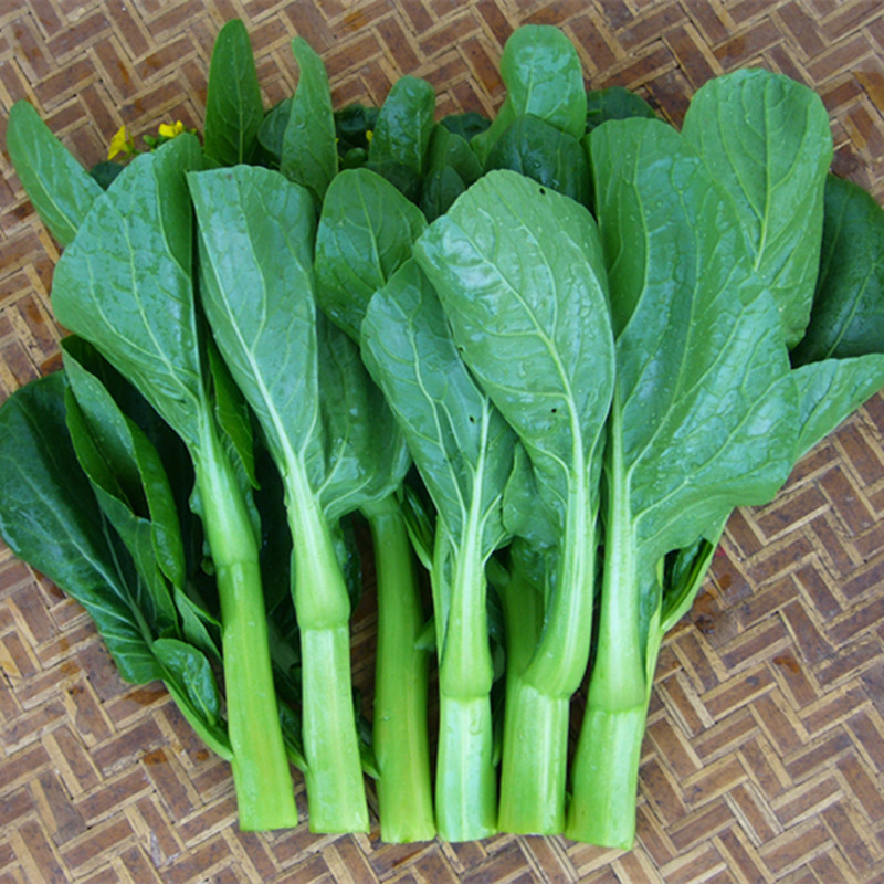 大田菜场种植 宁夏靓45天油青甜菜心400克装早熟油绿圆叶甜菜心