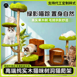 猫树一体实木猫咪专用猫爬架房子抓柱猫跳台剑麻猫架子批发