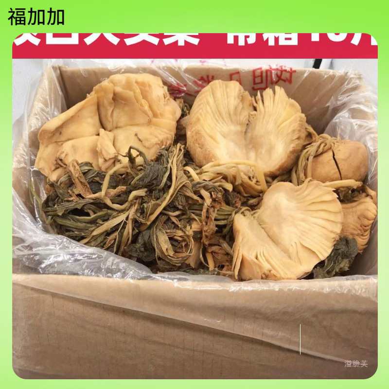 广西淡口菜大头菜咸菜下饭菜新鲜农家腌菜咸菜芥菜疙瘩一整箱10斤