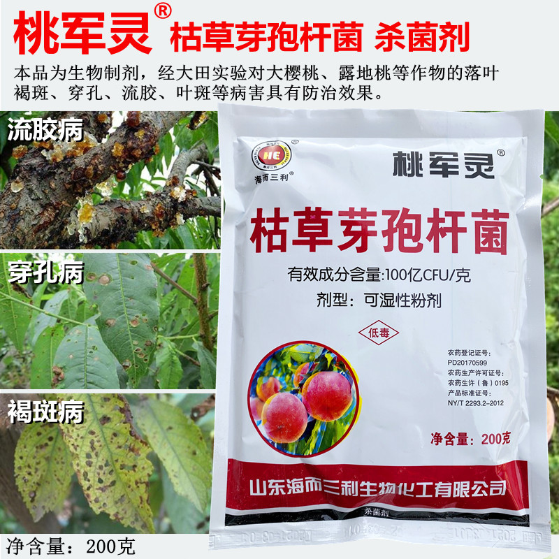 桃军灵枯草芽孢杆菌桃树穿孔流胶病褐斑病叶斑病落叶农药菌剂