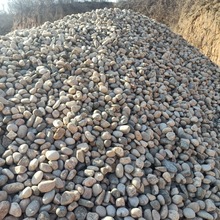供应工程鹅卵石原石花园变压器铺路铺地造景大号河卵石滤料雨花石