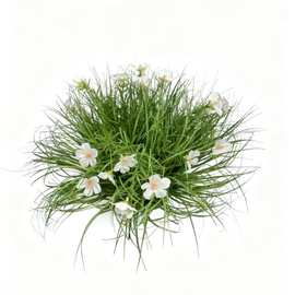 仿真植物洋葱草堆春草紫罗兰花草堆酒店婚庆装饰道具仿真花