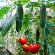 Garden Climbing Net for Climbing Plant Growing Support跨境专