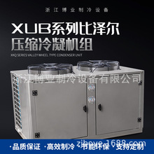 XUB系列比泽尔压缩冷凝精密空调中温冷藏低温冷冻机组食品空调