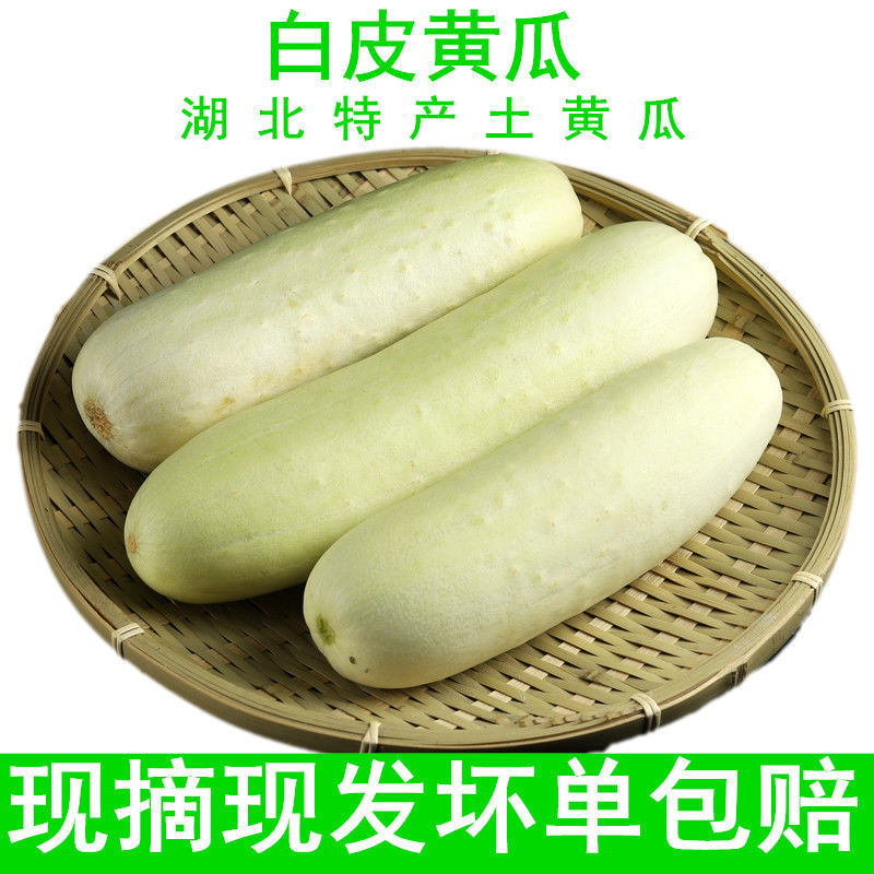 湖北特产新鲜黄瓜白玉黄瓜先摘现发白皮老黄瓜坏单包赔-阿里巴巴