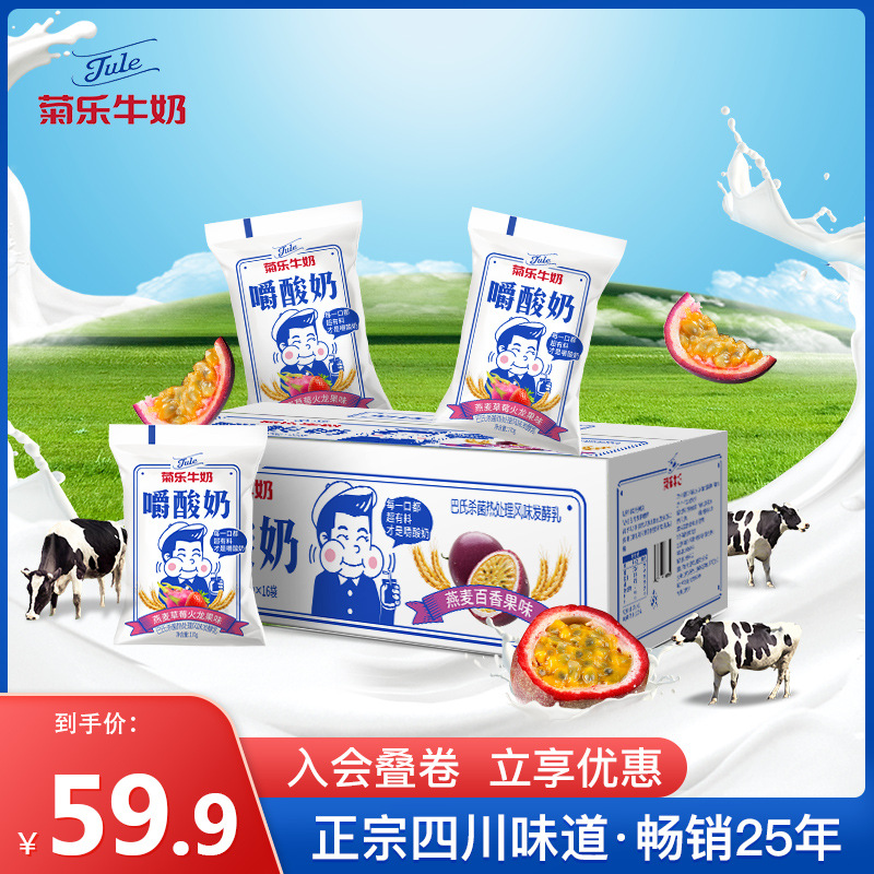 菊乐 嚼酸奶燕麦百香果味 整箱牛奶儿童早餐奶酸奶170g*16袋装