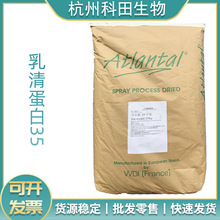 乳清蛋白WPC35 食品级 浓缩速溶蛋白含量35%  1公斤起订