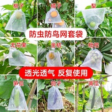 多尺寸水果蔬菜防虫网纱袋草莓番茄防鸟保护袋透光透气多颜色纱袋